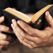 Etiam commodo convallis